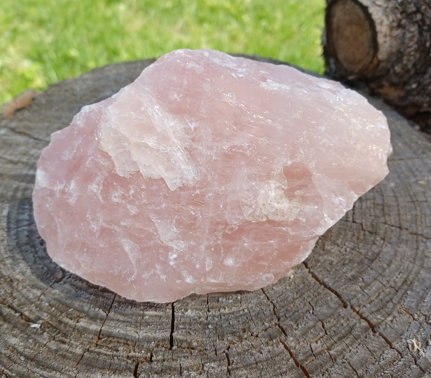 Ruženín 980g