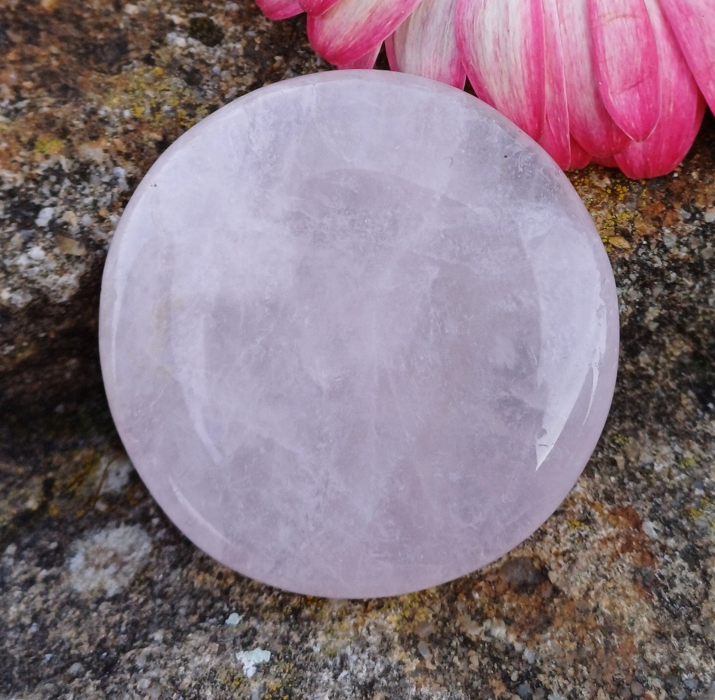 Ruženín chňapka 34g