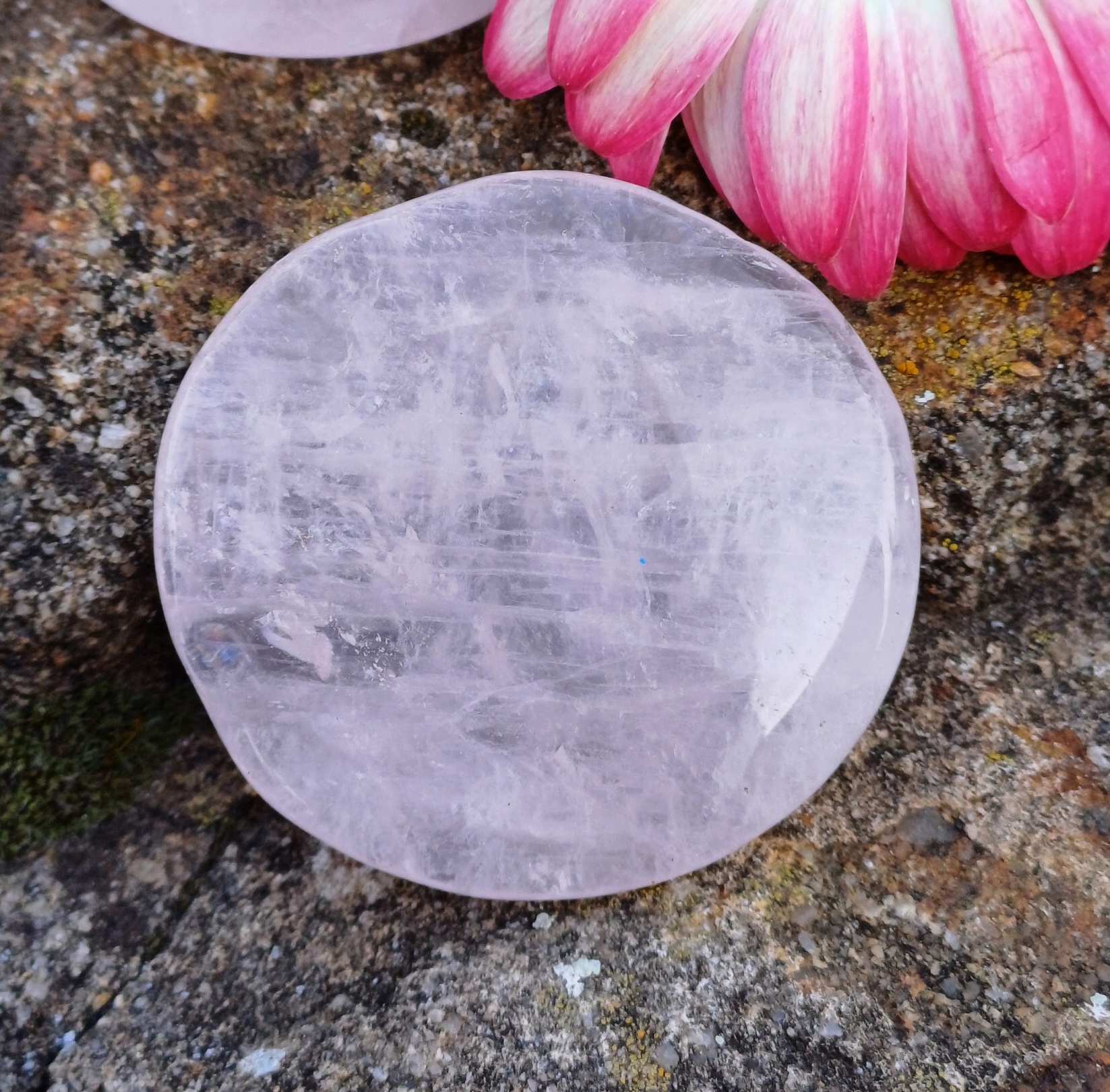 Ruženín chňapka 34g