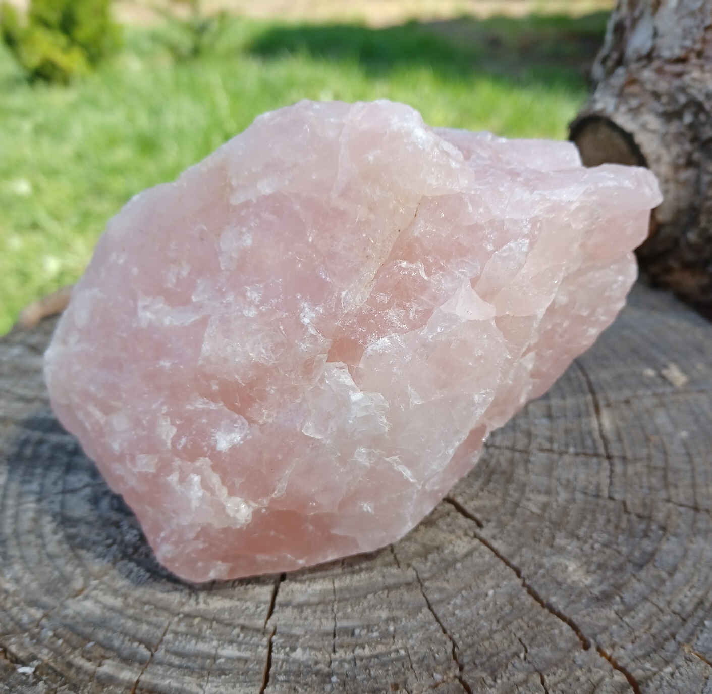 Ruženín 980g