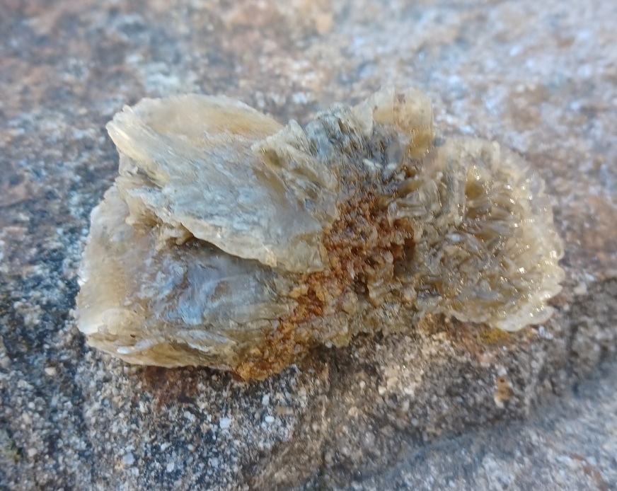 Sádrovec ČR 60g
