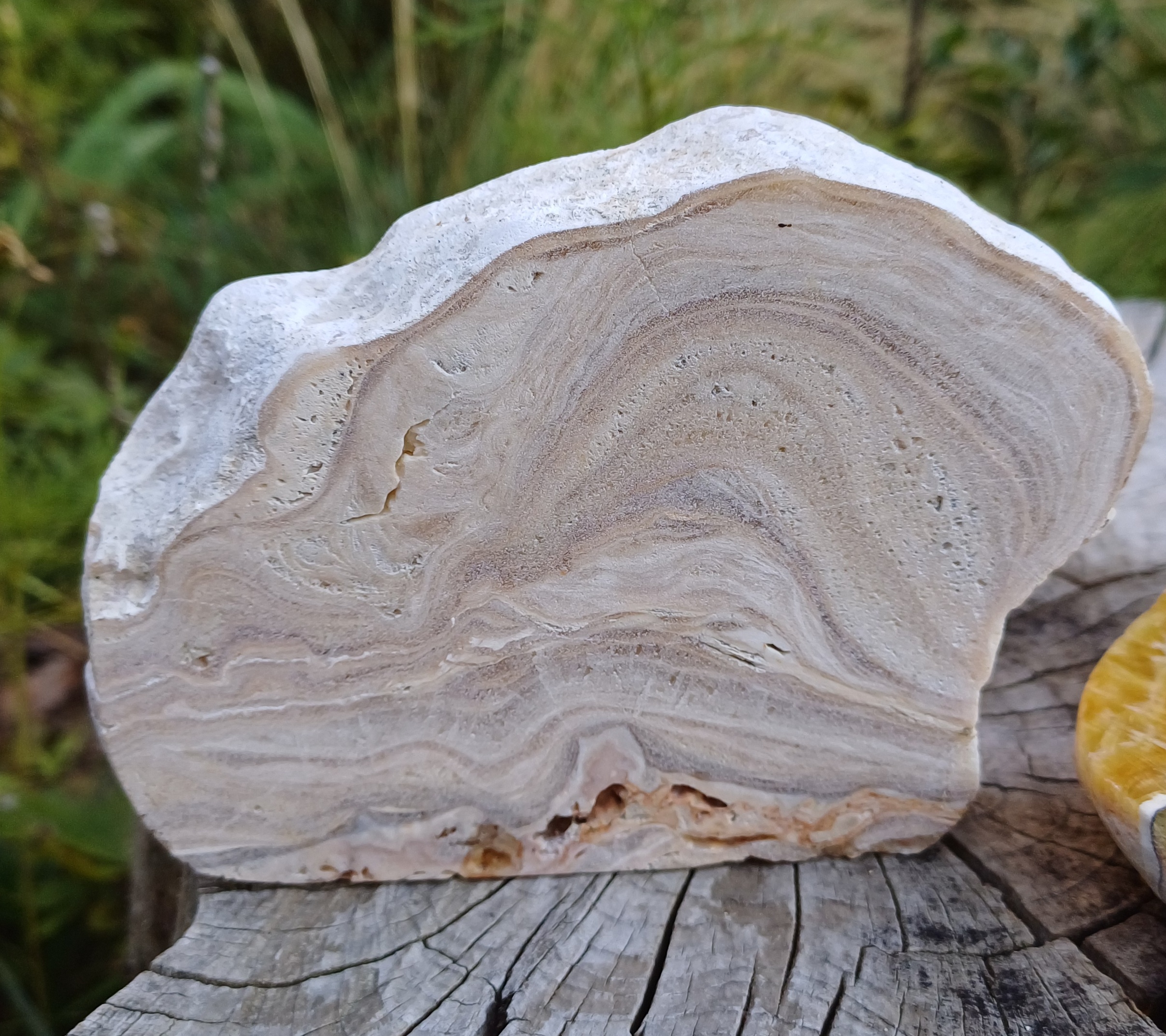 Aragonit leštený rez 360g