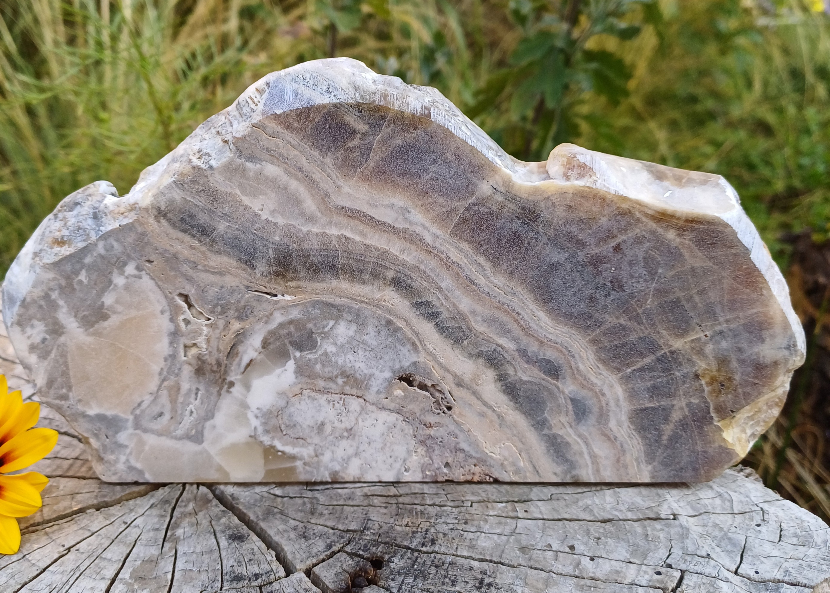 Aragonit leštený rez 825g