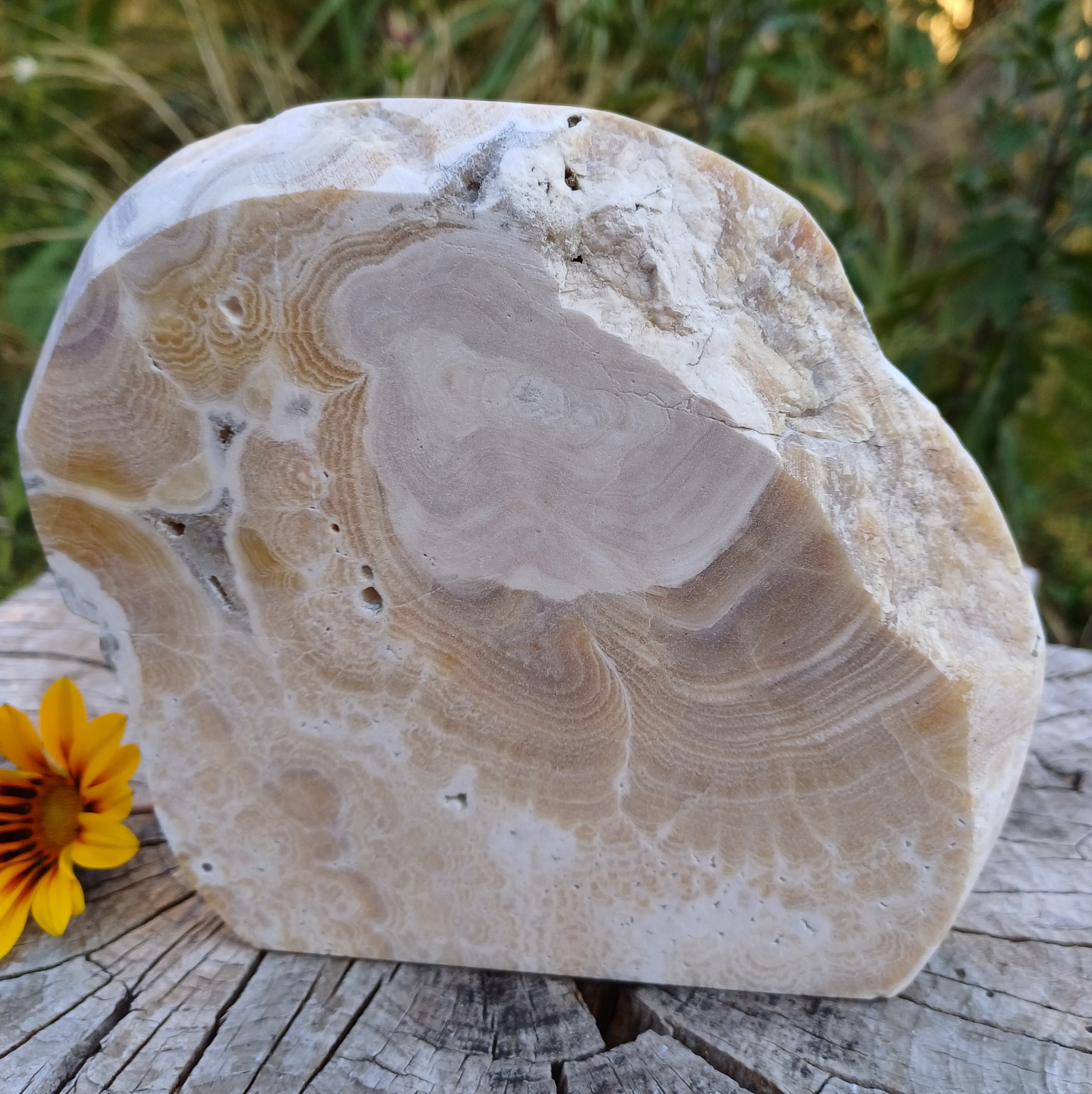 Aragonit ťažítko 920g