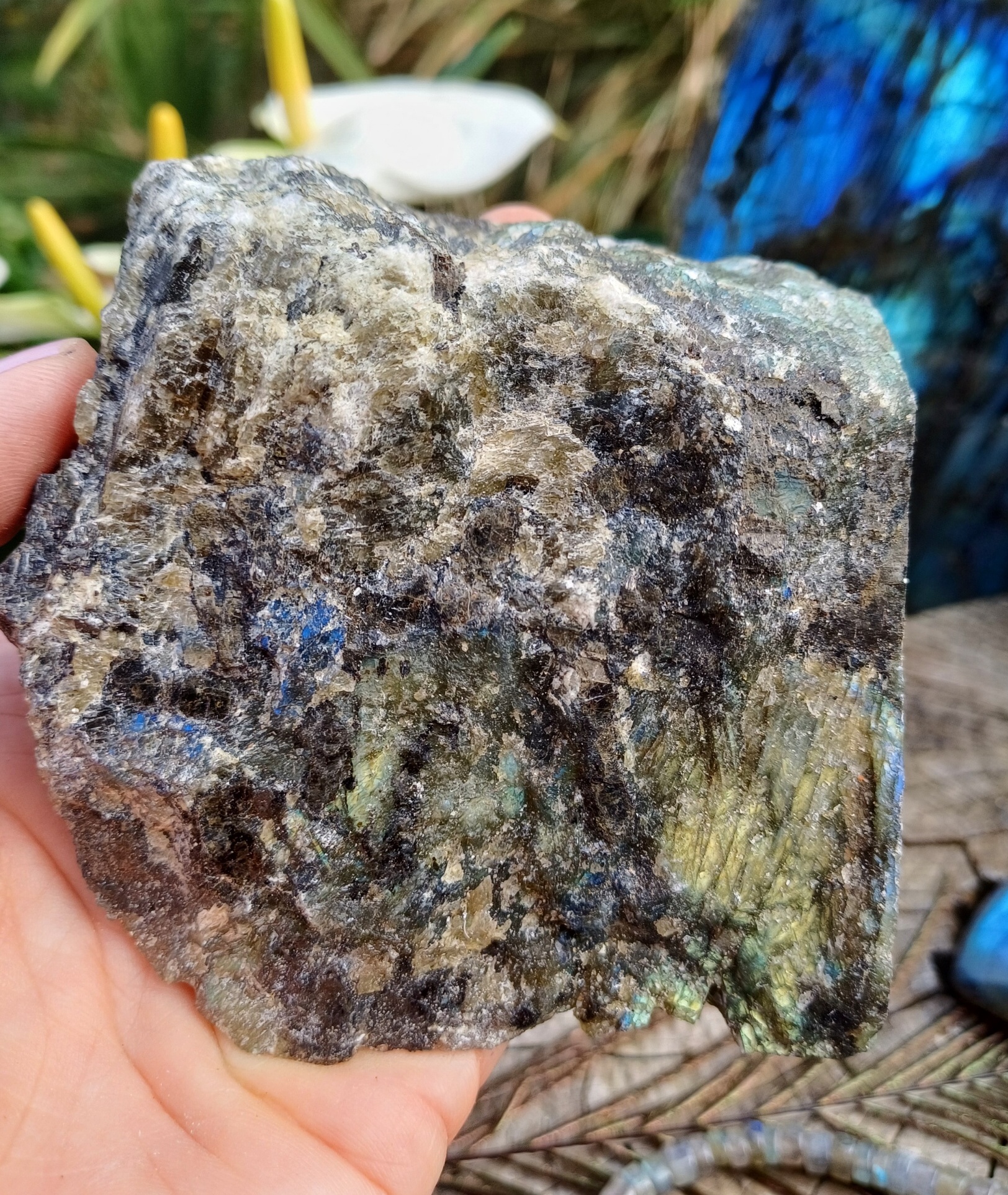Labradorit rez 445g