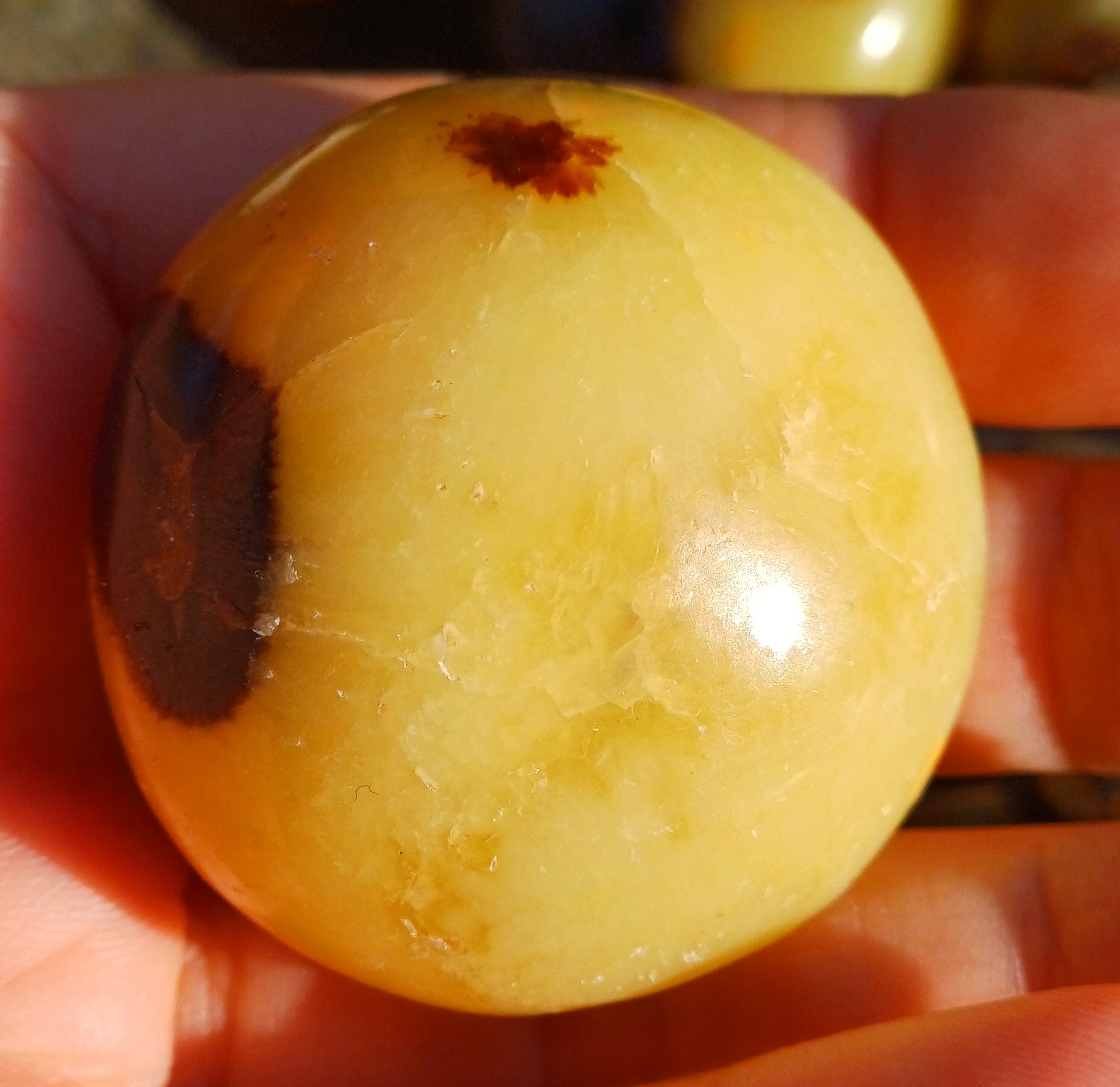 Septária 70g