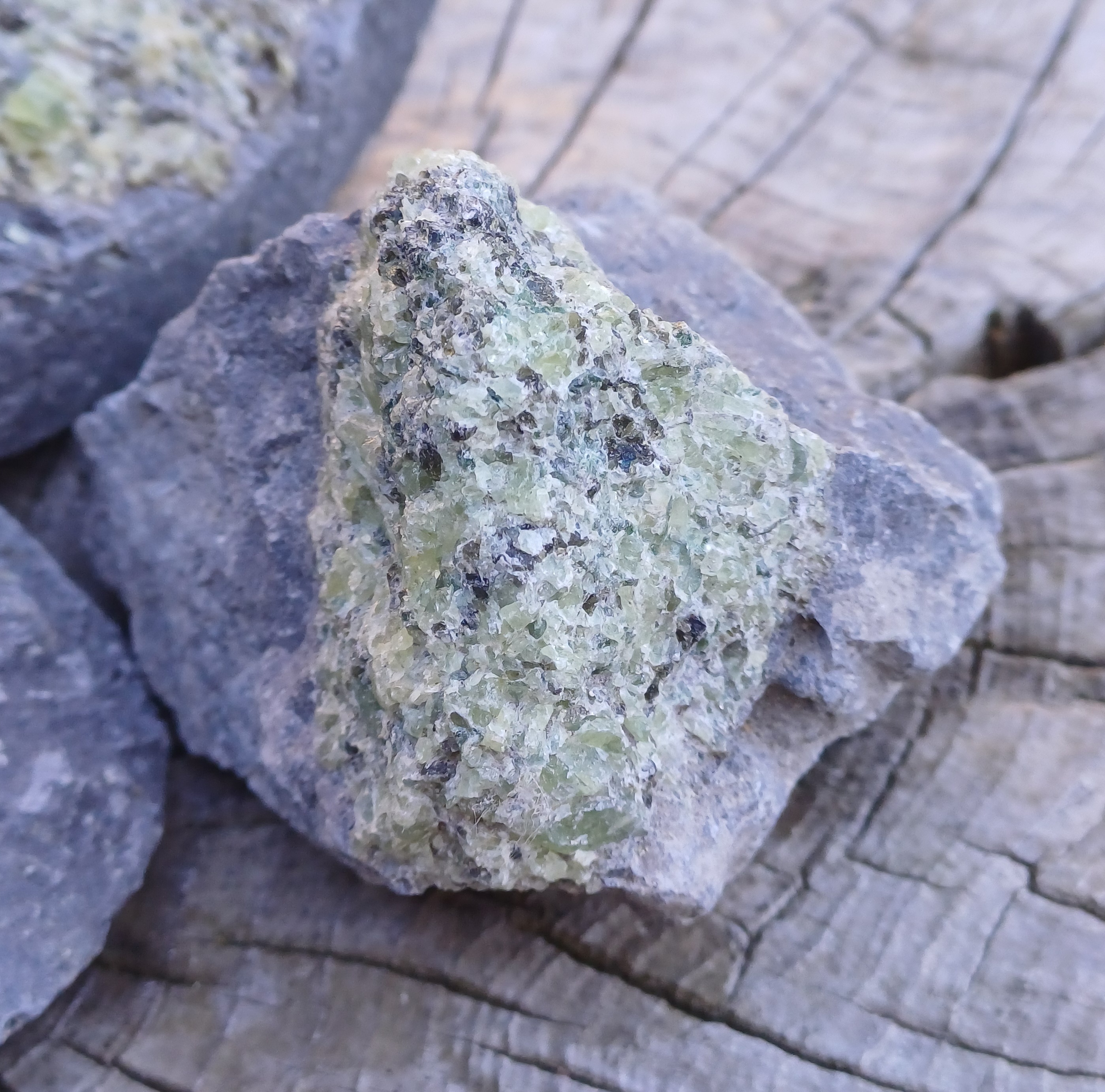 Olivín ČR 220g