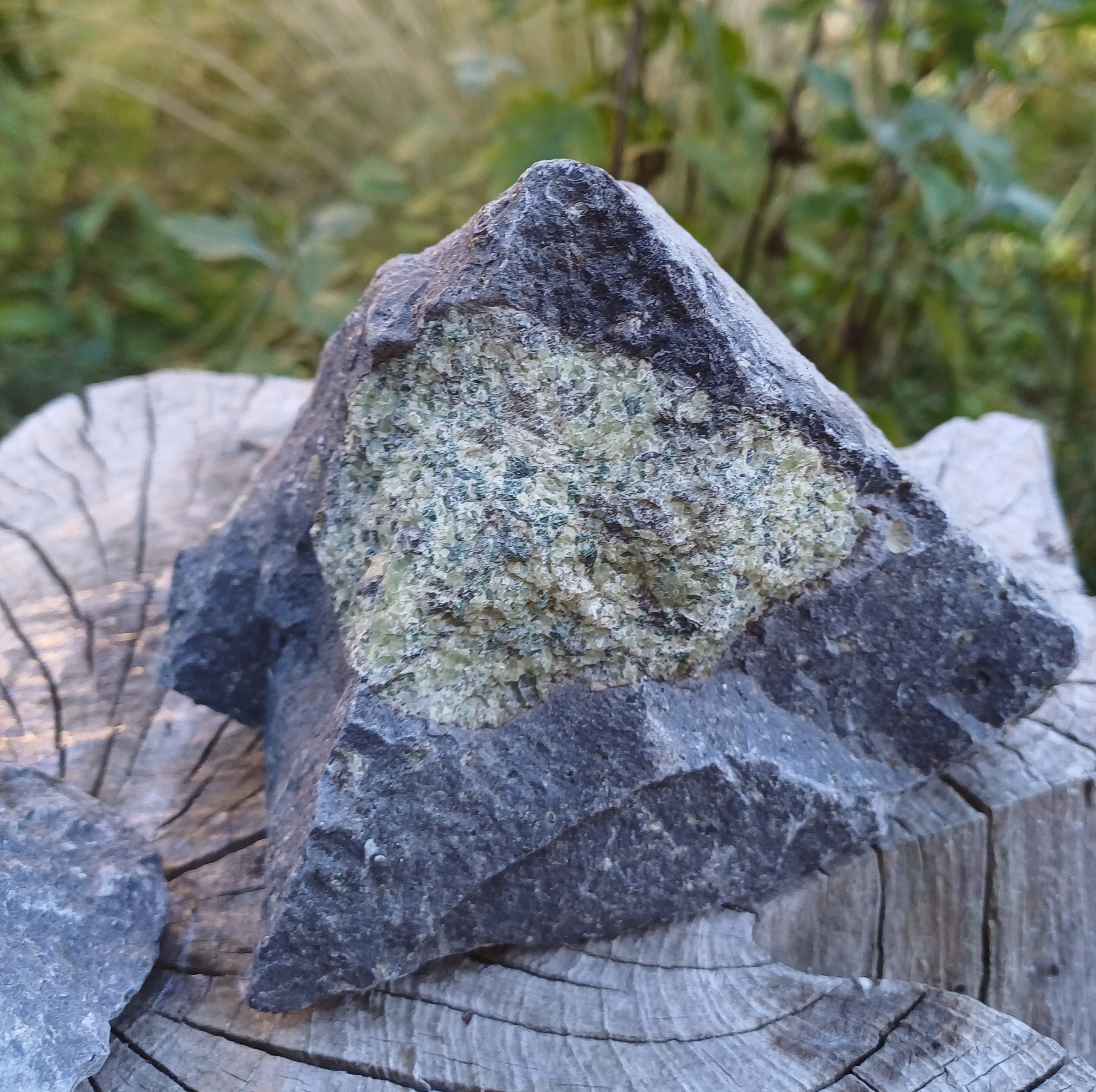 Olivín ČR 1030g