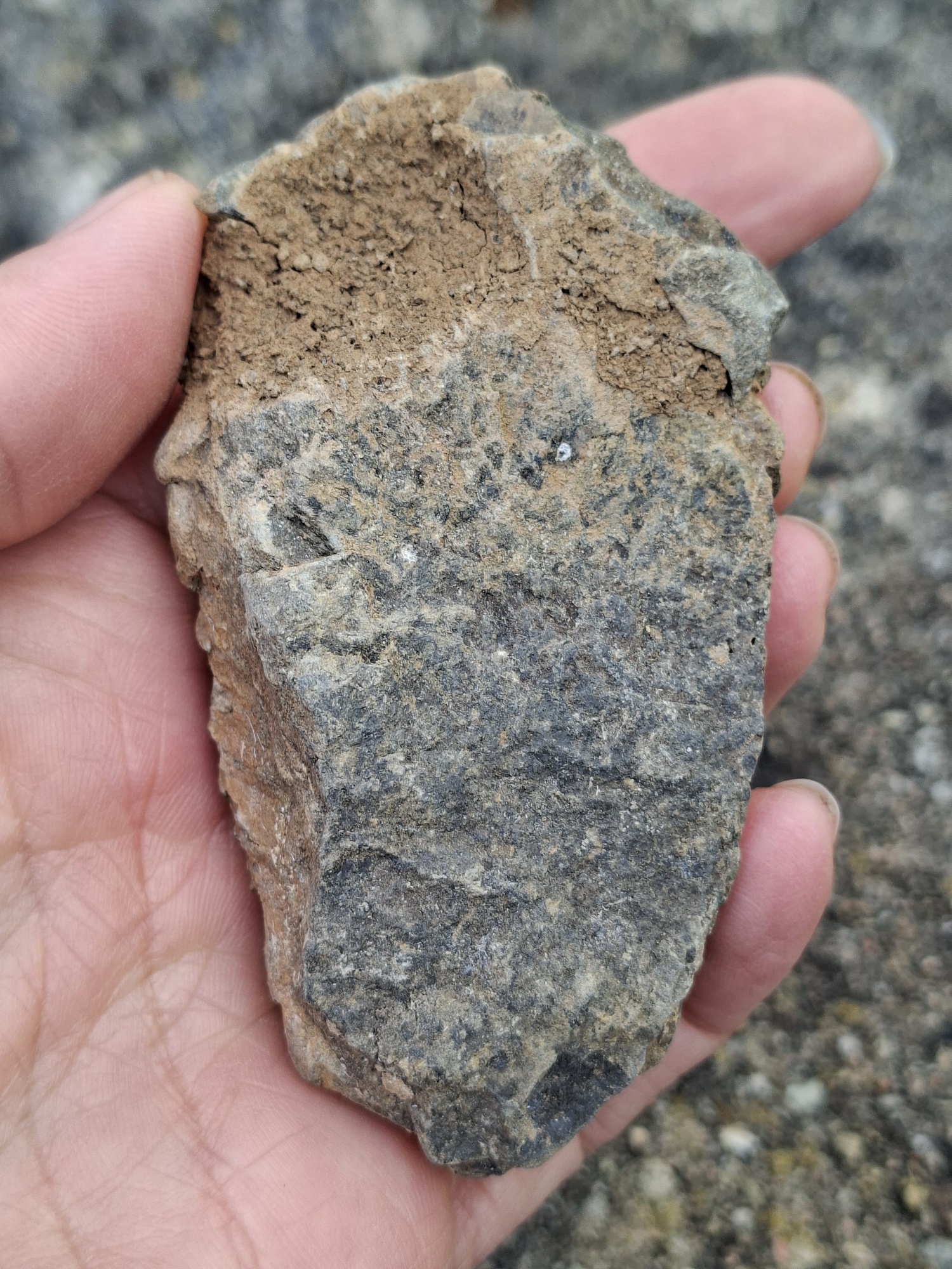 Trilobit 90g