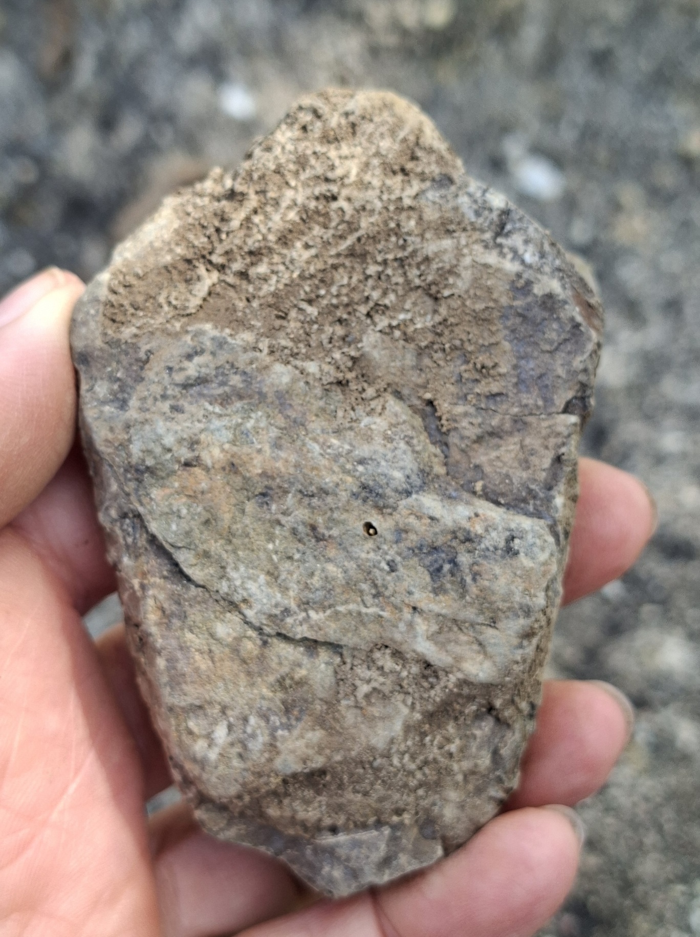 Trilobit 95g