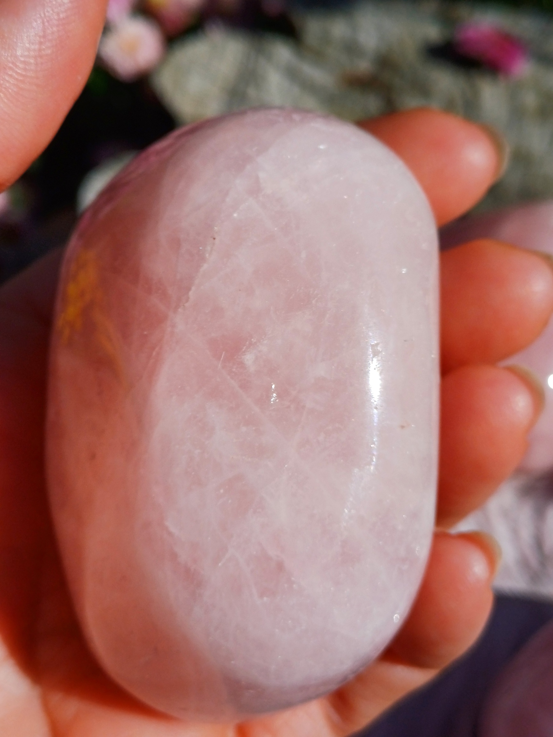 Ruženín 205g