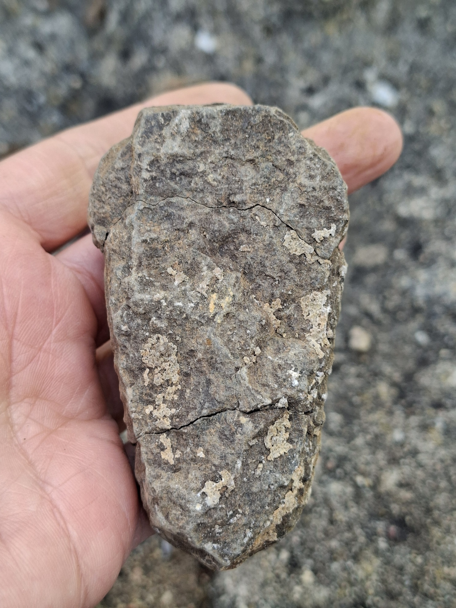 Trilobit 110g
