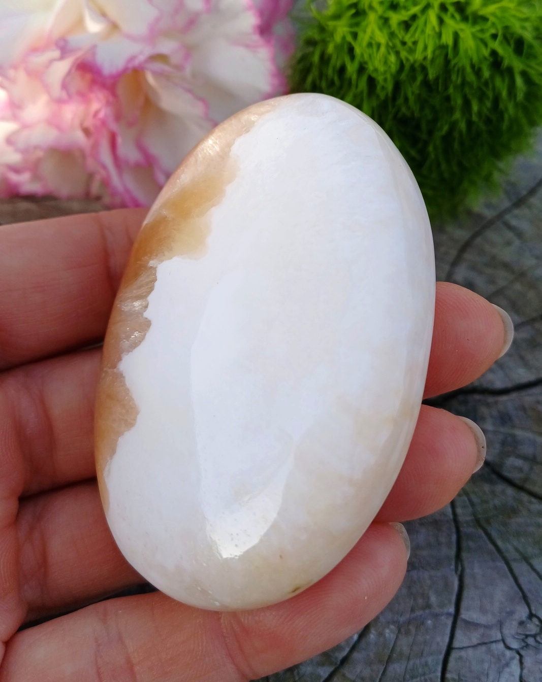 Skolecit so stilbitom 80g