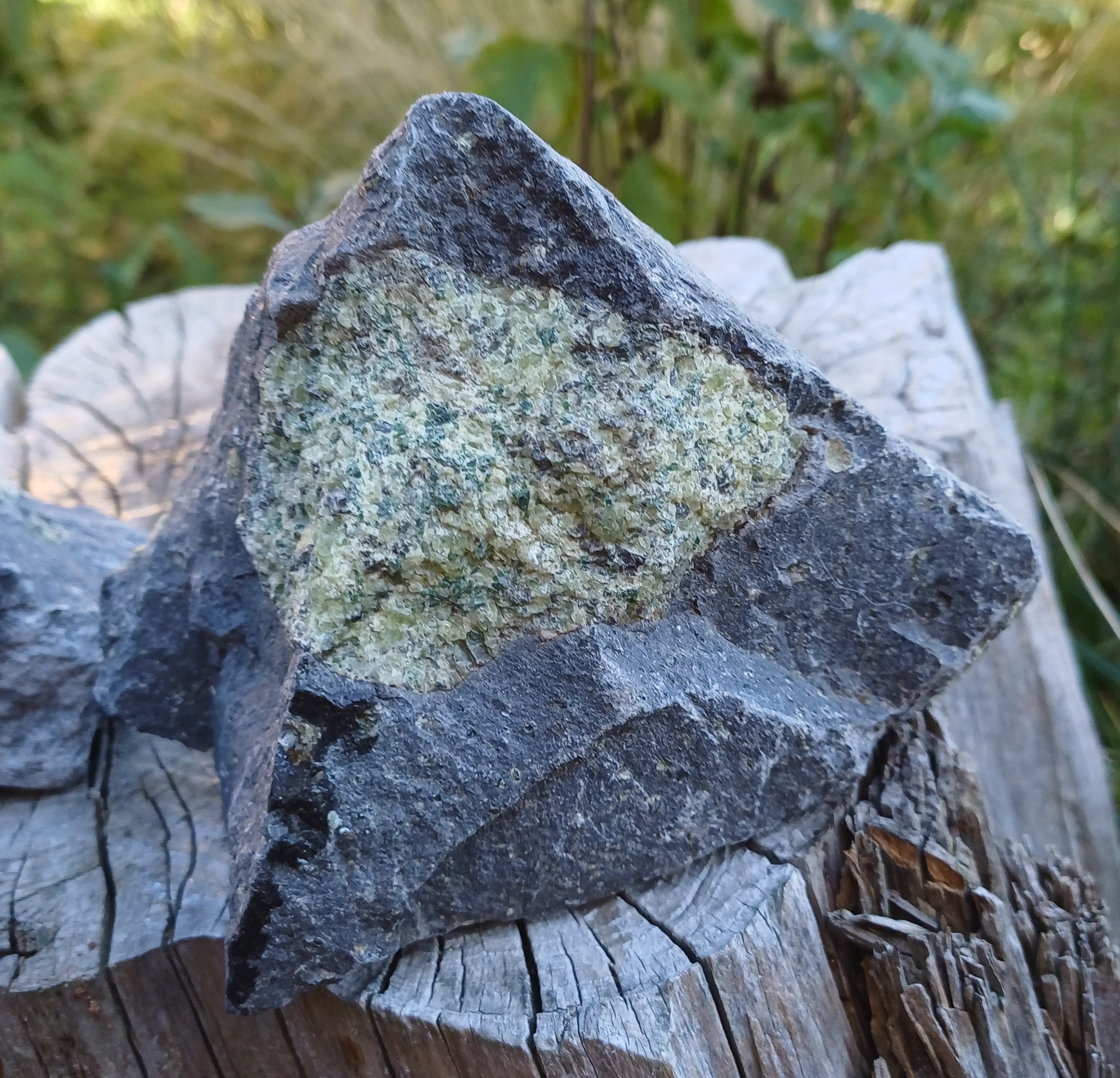 Olivín ČR 1030g
