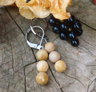 Fosilný koral náušnice