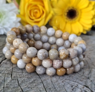 Fosilný koral náramok