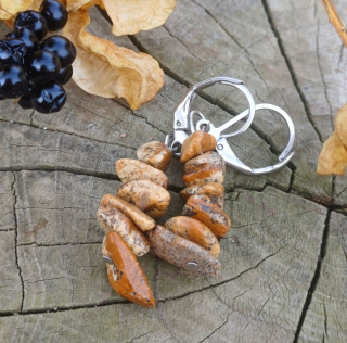 Jaspis obrázkový náušnice