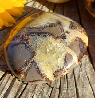 Septária chňapka 75g