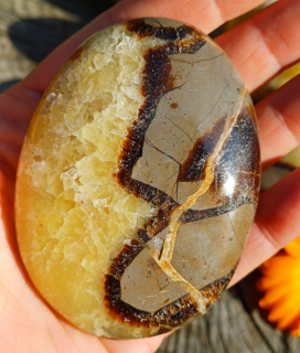 Septária chňapka 110g